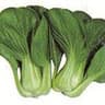 Bok Choy: Mei Qing Choi