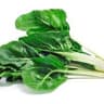 Silverbeet